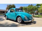 Thumbnail Photo 0 for 1966 Volkswagen Beetle